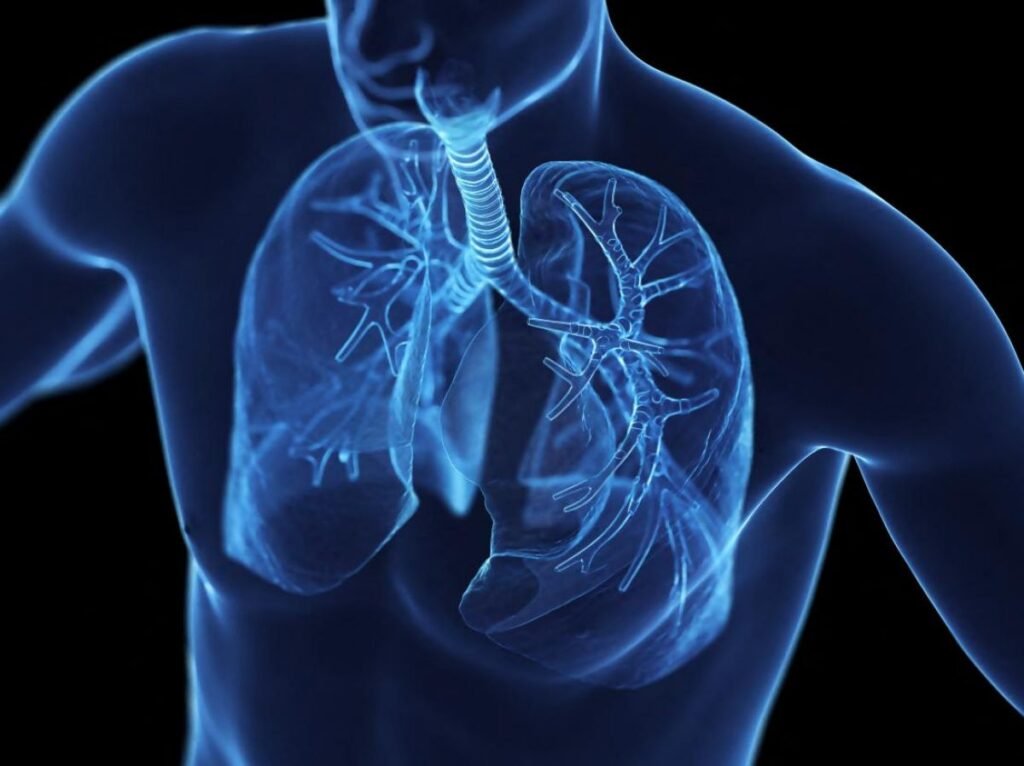 MONDE/ De bonnes nouvelles santé pour bien commencer l’année 2026