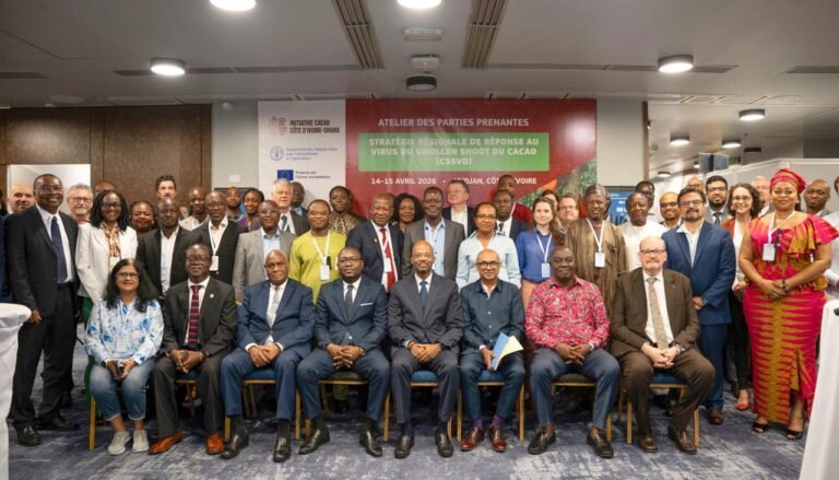 Lutte contre le swollen shoot : la Côte d’Ivoire et le Ghana adoptent une stratégie régionale coordonnée